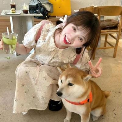 莫希怪物：电影